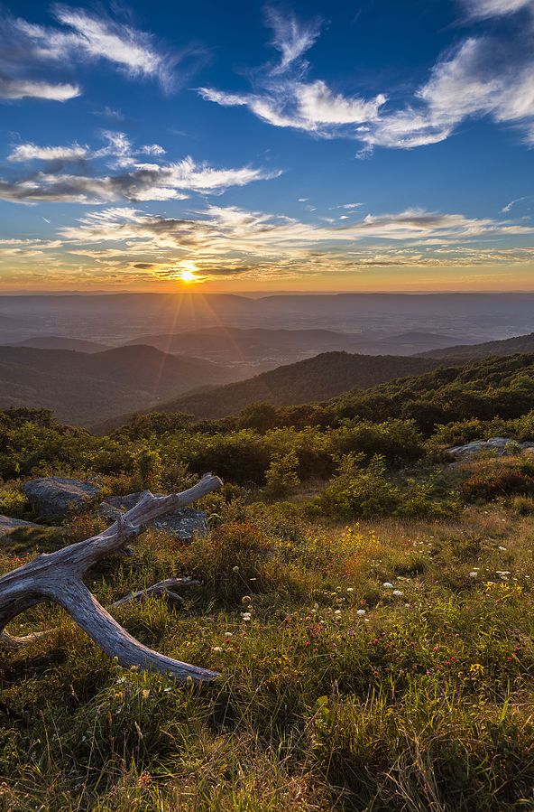 Alta Survey In Virginia Alta Land Survey - blue ridge mountains of virginia alta survey virginia