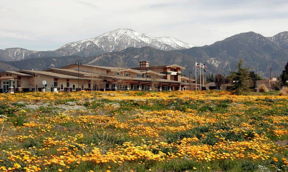 ALTA Survey Yucaipa CA
